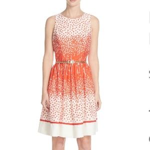 Eliza J Belted Fit and Flare Dress (16)